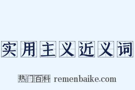 实用主义近义词是什么意思的图片